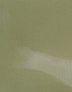 太田龍一 双鯉 [F10号] | 掛軸(掛け軸)販売／表装ご依頼は掛軸いっぷく