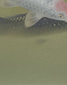 太田龍一 双鯉 [F10号] | 掛軸(掛け軸)販売／表装ご依頼は掛軸いっぷく