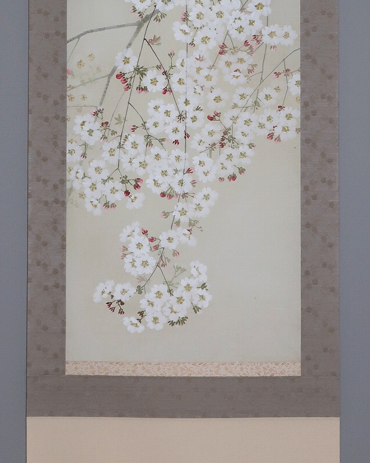 出井江堂 夜桜 | 掛軸(掛け軸)販売／表装ご依頼は掛軸いっぷく掛軸