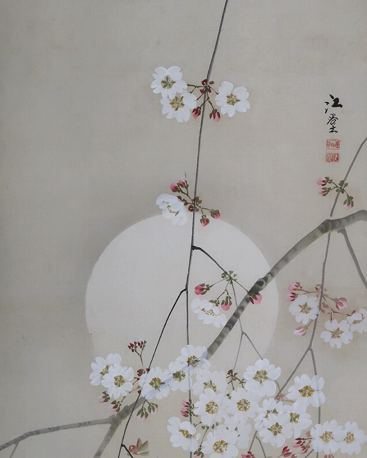 出井江堂 夜桜 | 掛軸(掛け軸)販売／表装ご依頼は掛軸いっぷく掛軸