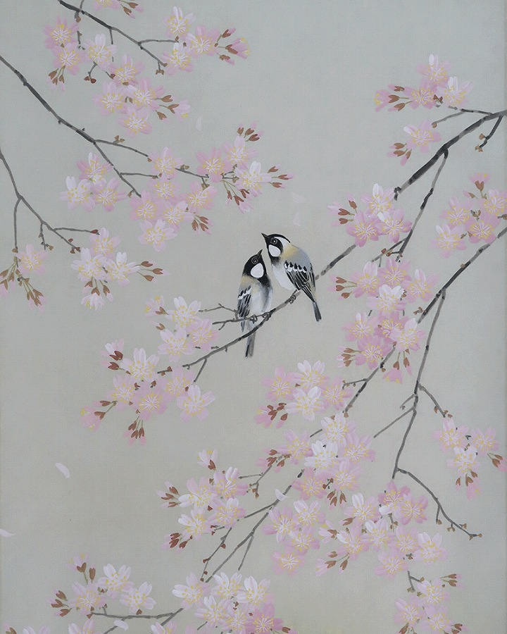 出口華凰 桜 | 掛軸(掛け軸)販売／表装ご依頼は掛軸いっぷく掛軸