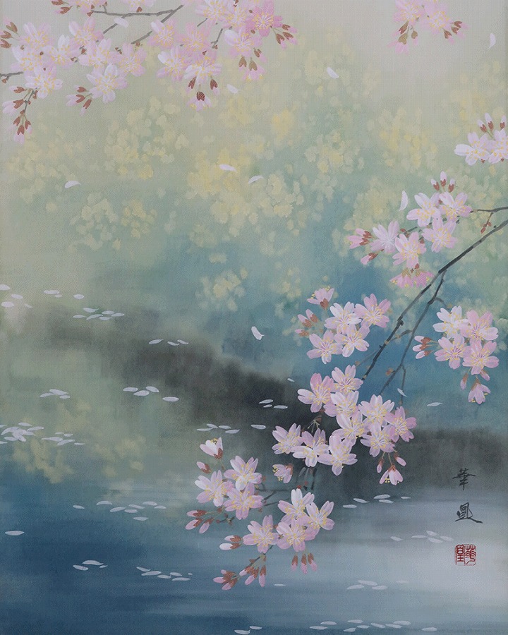 出口華凰 桜 | 掛軸(掛け軸)販売／表装ご依頼は掛軸いっぷく掛軸